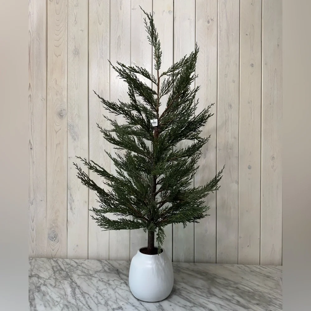 Crate & Barrel, Faux 33” Cypress Tree in White Pot